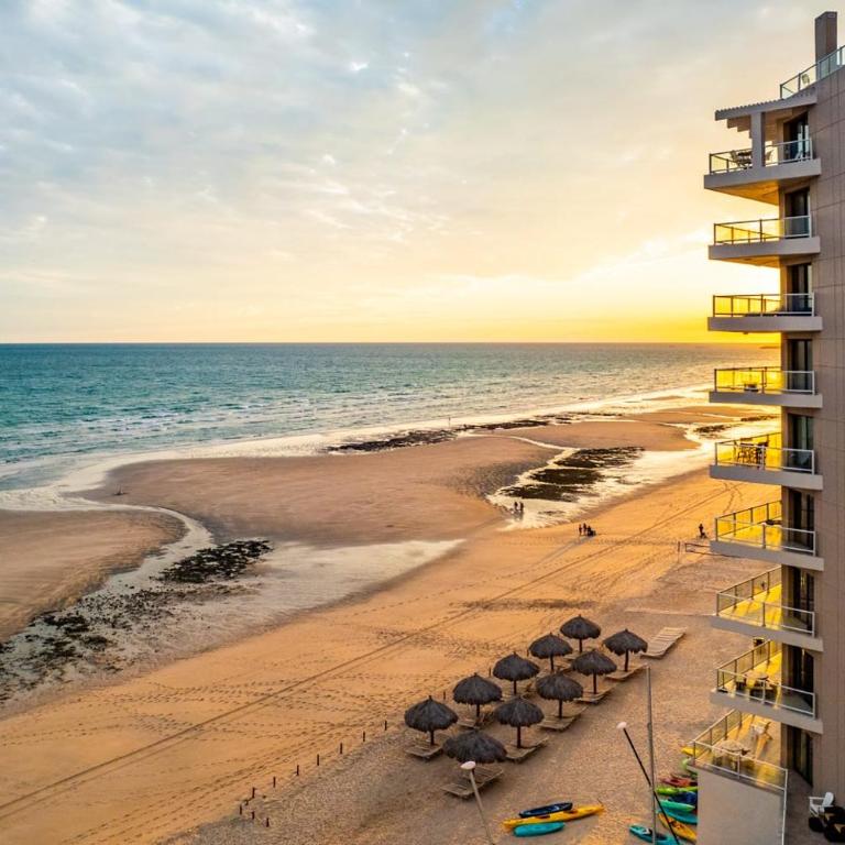 1BR 1BA Ocean View Las Palomas Phase 1 Bld Ruby - Apartment - 33