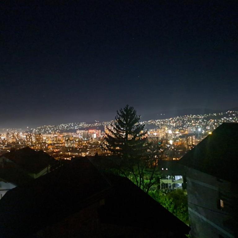 SarajevoCityView1 - Deluks Apartman sa 2 Spavaće Sobe i Pogledom na Vrt - 23
