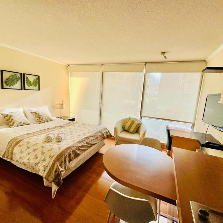 Studio in Lastarria - art, culture and gastronomy - One-Bedroom Apartment - 16