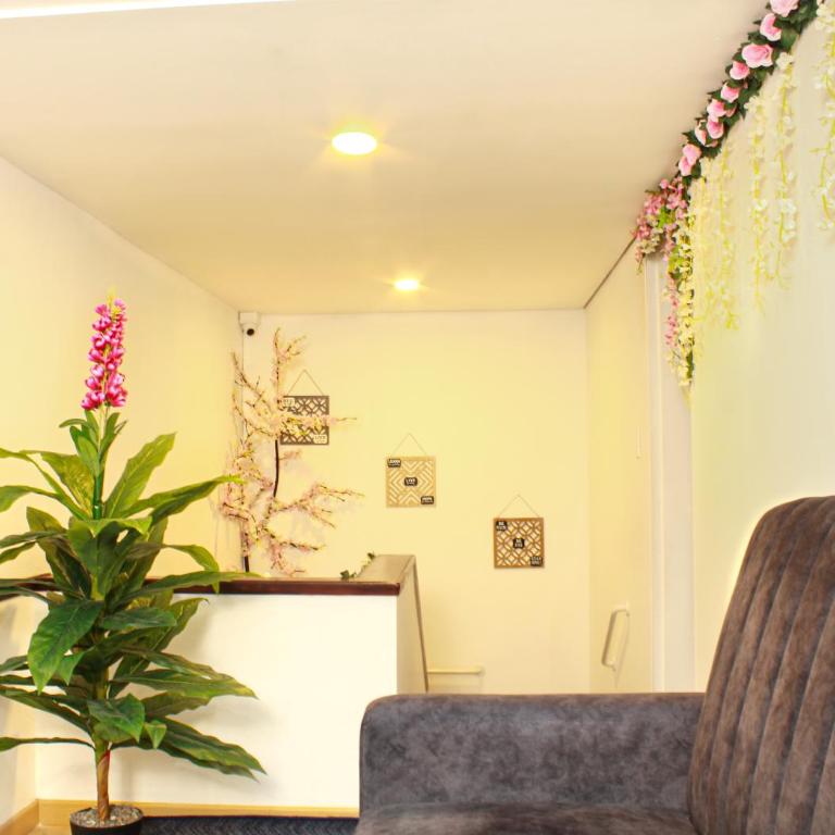 Garden's Aparta hotel - Apartamento - 1