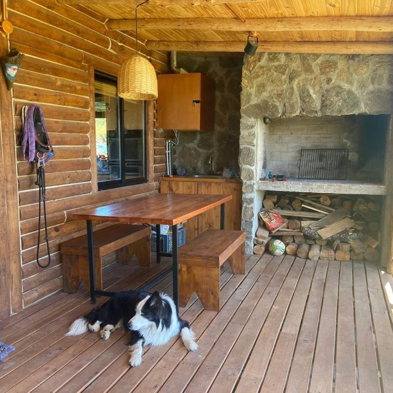 Cabaña frente al lago - Two-Bedroom House - 12