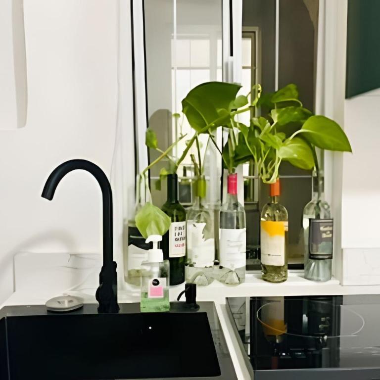 02-Hermoso apt en el centro de mty - Apartment - 1