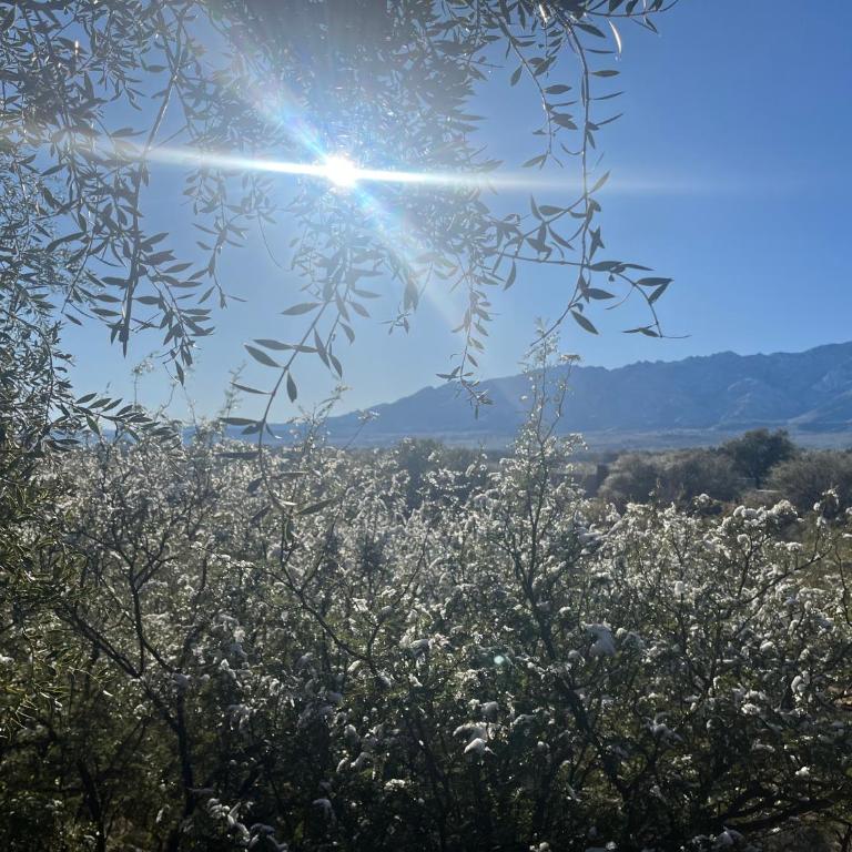 Casa en La Comarca - Casa con 1 dormitorio - 58