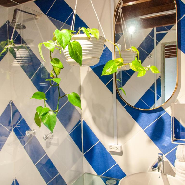 PIA COLOMBIA - Suite Deluxe - 5