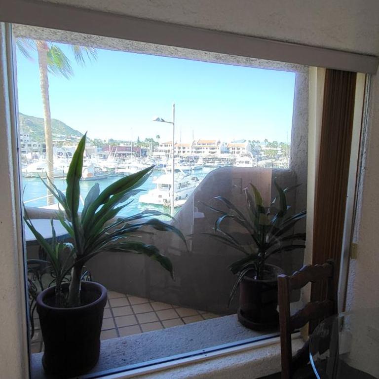 Marina Cabo Plaza "Casa Pura Vida" 108A - Apartamento de 1 dormitorio - 9