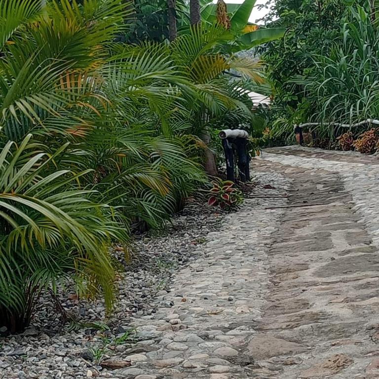 Curitagua Hotel Campestre - Habitación Familiar con baño privado - 44