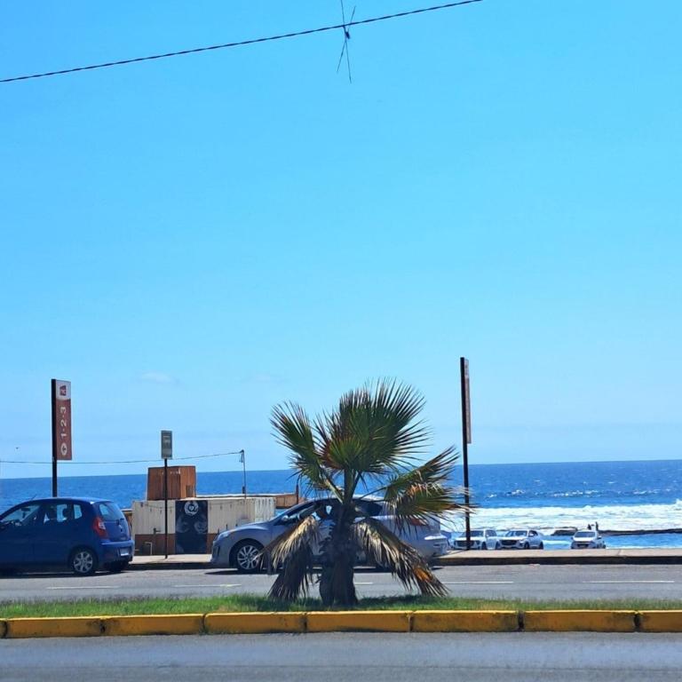 Hermosa vista al mar II dpto Sector Sur Llacolen - One-Bedroom Apartment - 4