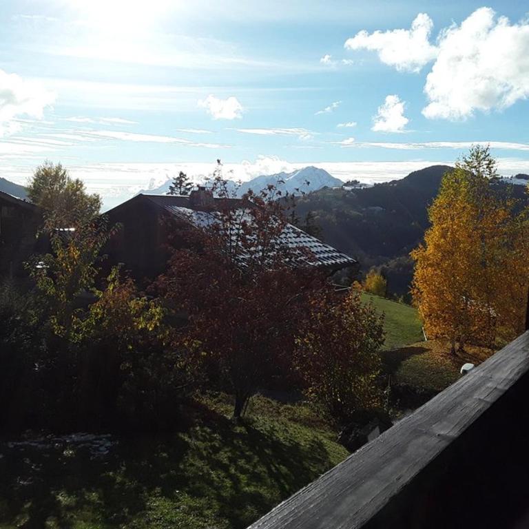 Studio 4 pers, Sud, à 300m des pistes, parking - Monolocale - 5