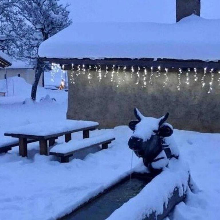 Studio 4 pers, Sud, à 300m des pistes, parking - Monolocale - 16