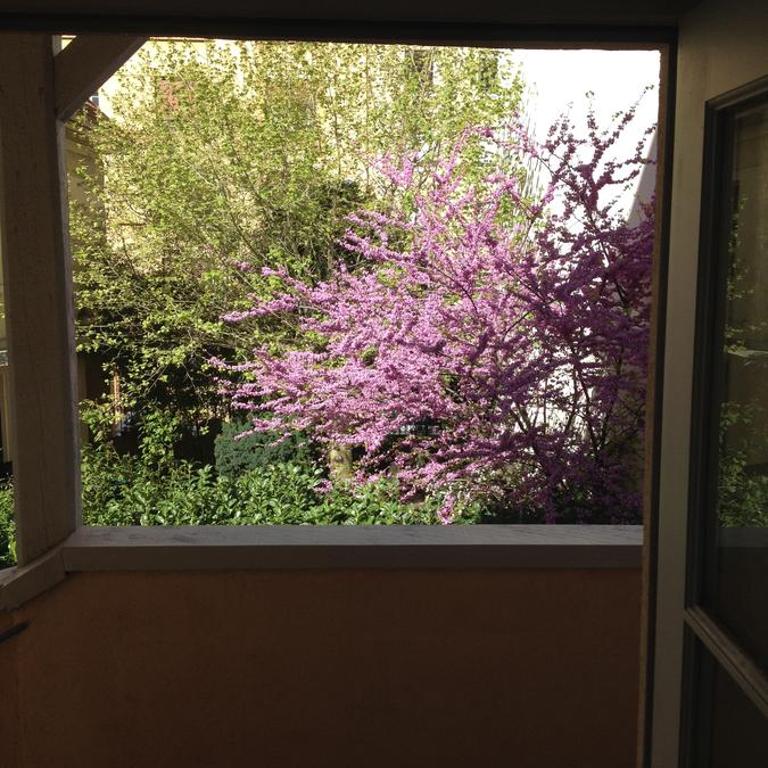 Le Croix Rousse Jacquard - Appartement - 25
