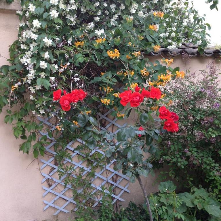 La petite Maison dans la Croix Rousse - Studio avec Vue sur Jardin - 41