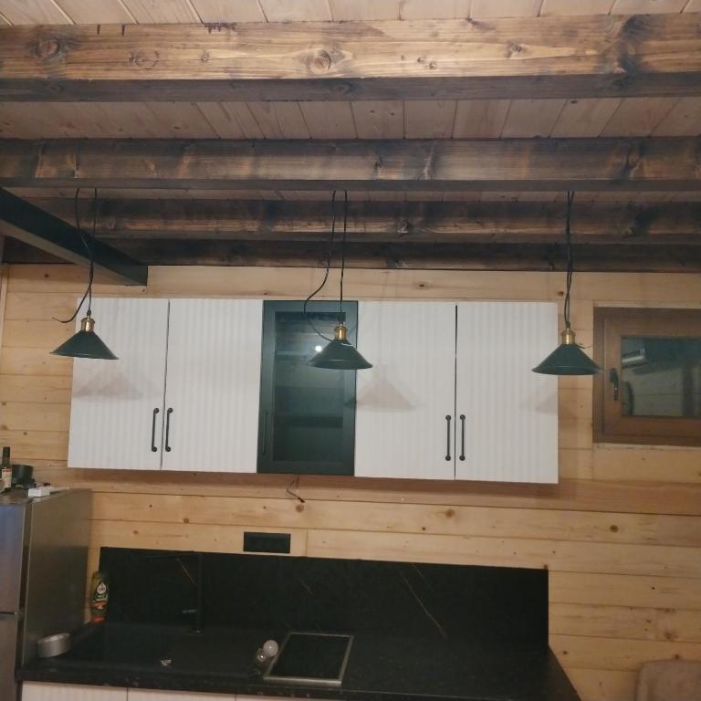 Brvnara Iva - Apartman sa 1 Spavaćom Sobom - 3