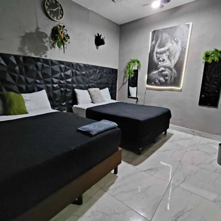 Casagusgusmazatlan - Two-Bedroom House - 9