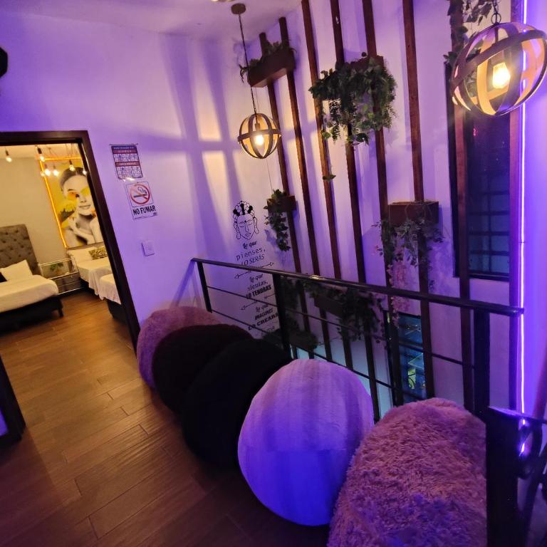 Casagusgusmazatlan - Two-Bedroom House - 13