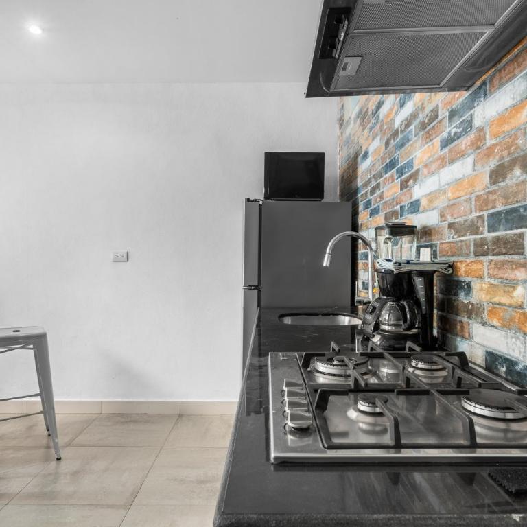 Stylish Apartment Near "Los Muertos" Beach - Classic Apartment - 18