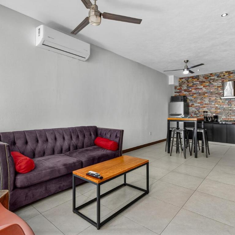 Stylish Apartment Near "Los Muertos" Beach - One-Bedroom Standard Apartment - 11