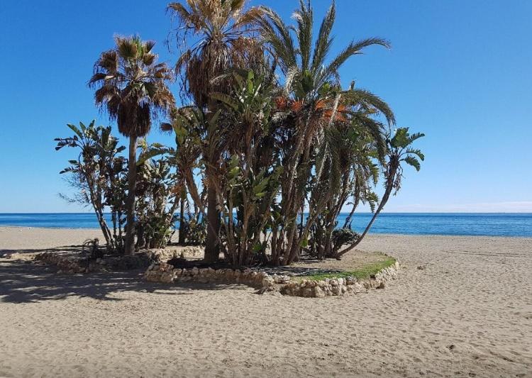 Apartamento Puerto de Estepona - Apartment mit 2 Schlafzimmern - 29