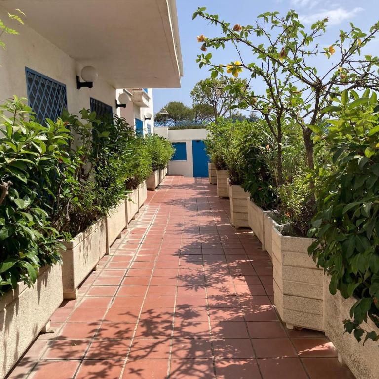 Apartamento Puerto de Estepona - Apartment mit 2 Schlafzimmern - 13