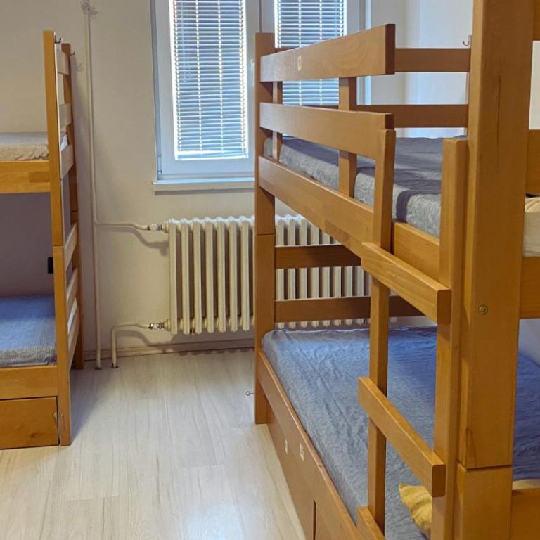 Lierra Downtown Hostel - Krevet za Jednu Osobu u Šestokrevetnoj Spavaonici - 5