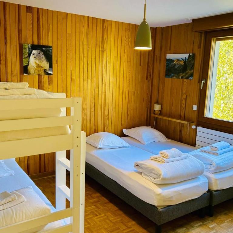 Comfort nature and exceptional Mont Blanc view - Appartement - 10