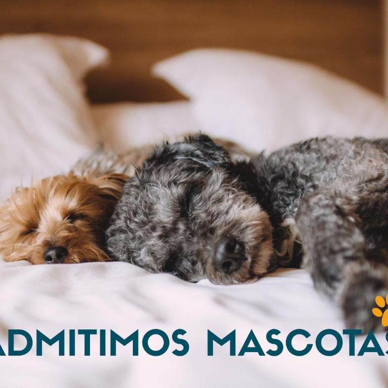 Alojamientos Foz 3000 - Apartamento de 1 dormitorio - 1