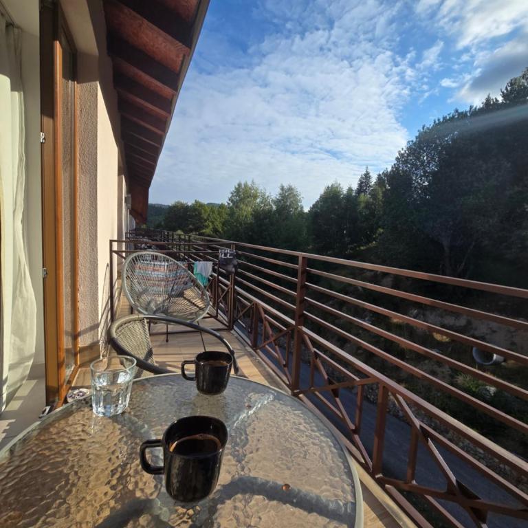 Kopaonik Milmari & Spa N Lux 90 - Studio Apartment - 12