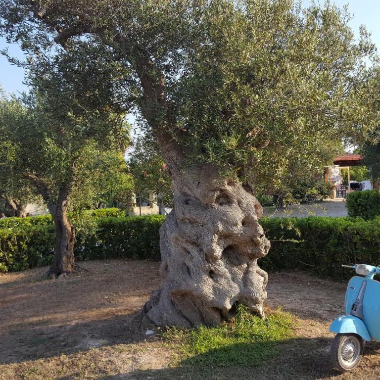 Agriturismo Villa Tommaso - Camera Matrimoniale Deluxe - 40
