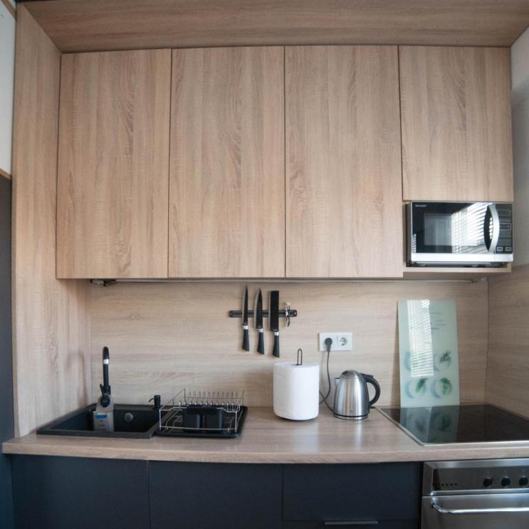 Festival Centar Sarajevo - One-Bedroom Apartment - 9
