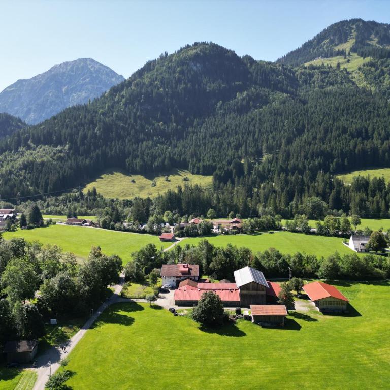Ferienwohnung Wiesenblick - Apartment mit 1 Schlafzimmer - 29