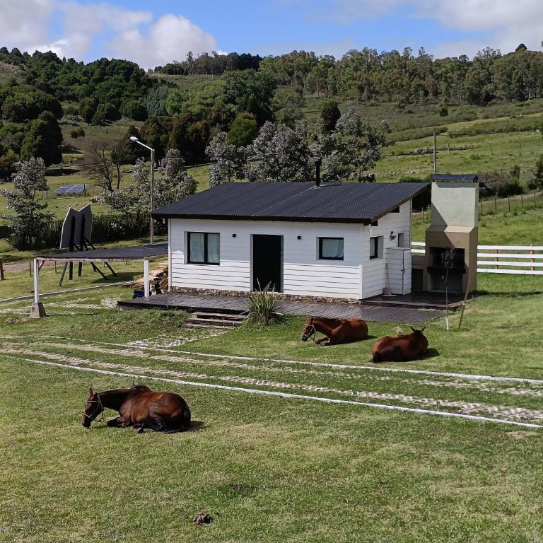Cabañas La Catalana - Casa - 14
