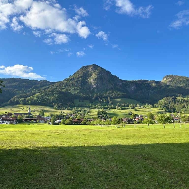 Ferienwohnung Wiesenblick - Apartment mit 1 Schlafzimmer - 36