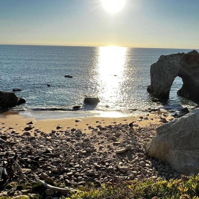 Quiberon Centre - Appartement 3 pièces, 48m², proche plage - FR-1-478-126 - Appartamento (4 Adulti) - 13