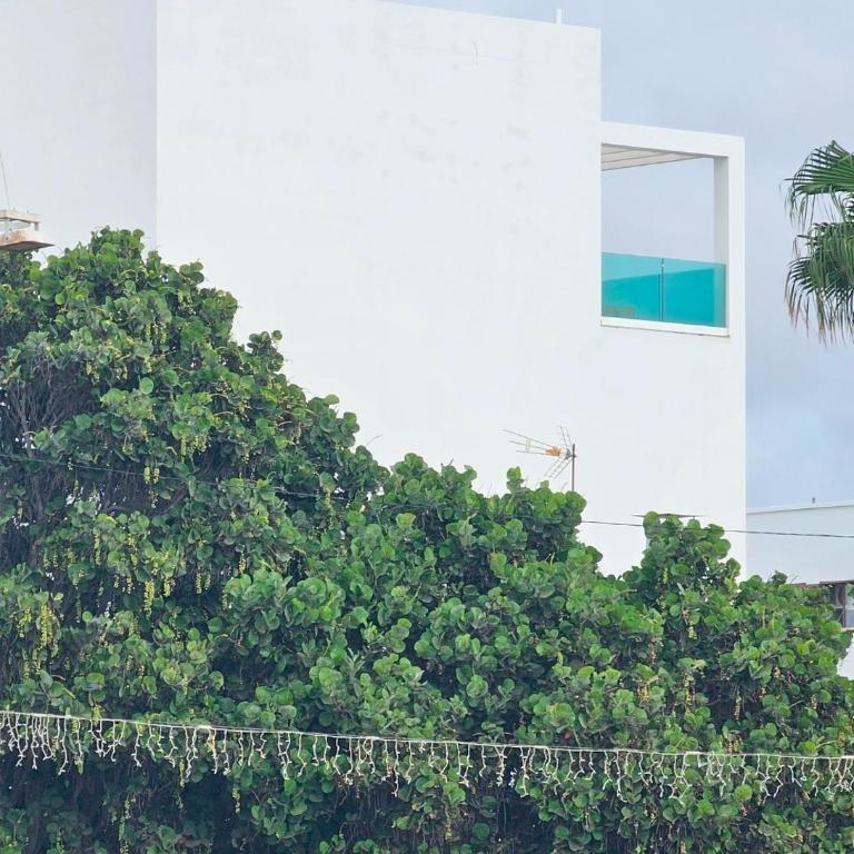 Ático Monarca II - Apartamento de 2 dormitorios - 32