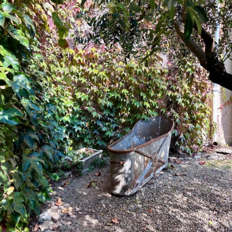 Mas Provençal avec piscine à Gordes - Villa avec Piscine Privée - 52