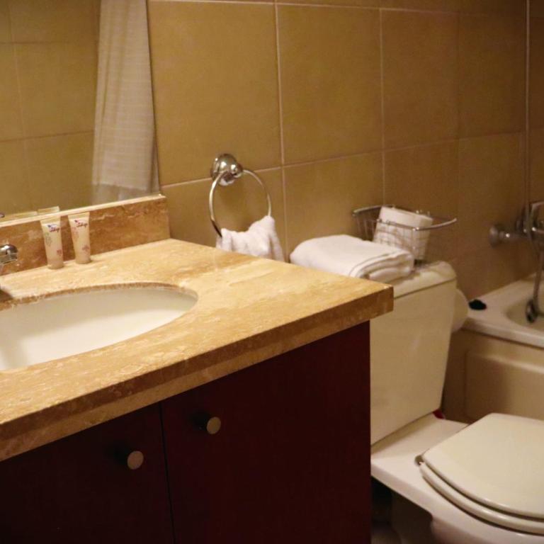 HOM I Departamento 3D3B Estacionamiento Las Condes LGL - Apartment - 52