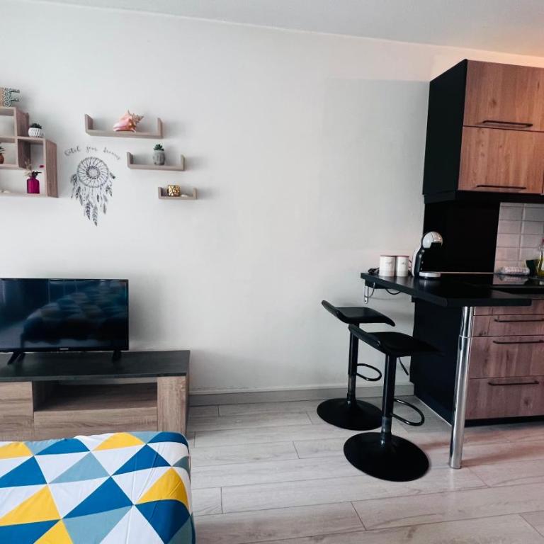 Les Appartements De Lina - Studio Abri-Côtier - Self Check-In - - Studio avec Terrasse - 14
