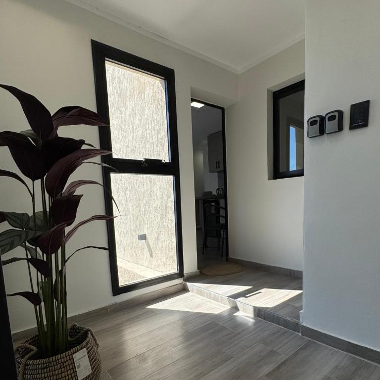 250 Deptos Temporarios - Apartamento de 1 dormitorio - 9