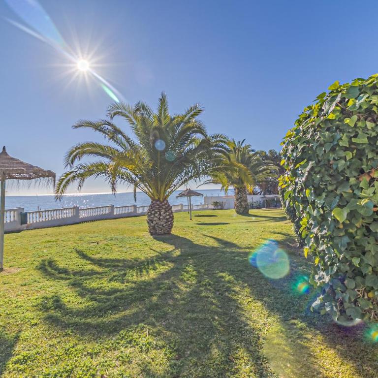 palma de mar - Apartamento - 6