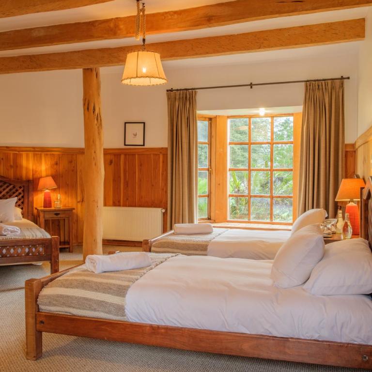 Andes Lodge, Puelo Patagonia - Triple Room - 2