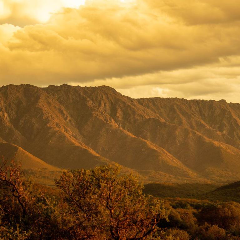 La Soñada Cabañas en Nono - Room #1518209001 - 42