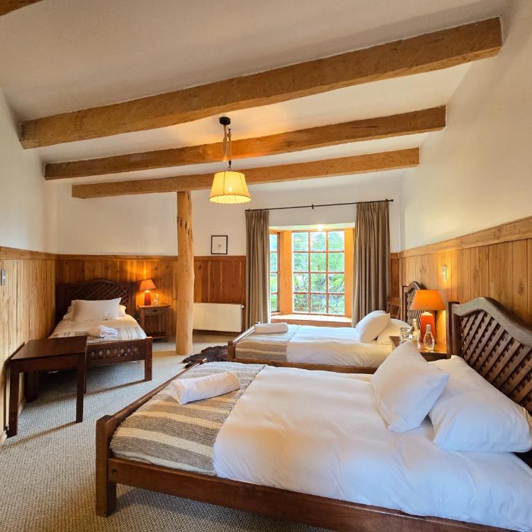 Andes Lodge, Puelo Patagonia - Triple Room - 3