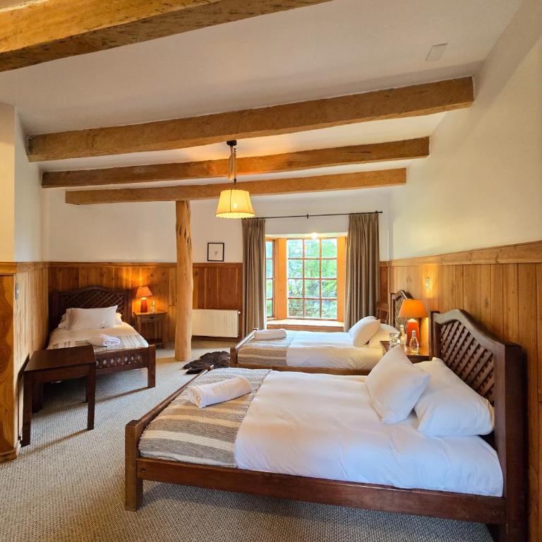 Andes Lodge, Puelo Patagonia - Triple Room - 5