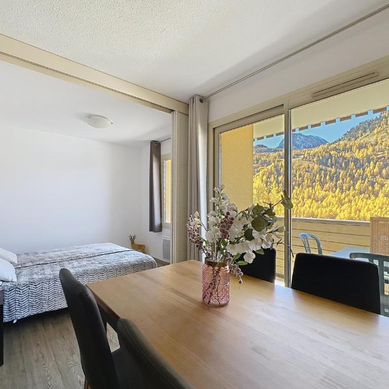 Isola 2000 T2 lumineux avec balcon, vue montagne, proche pistes - Appartement 1 Chambre avec Vue - 11