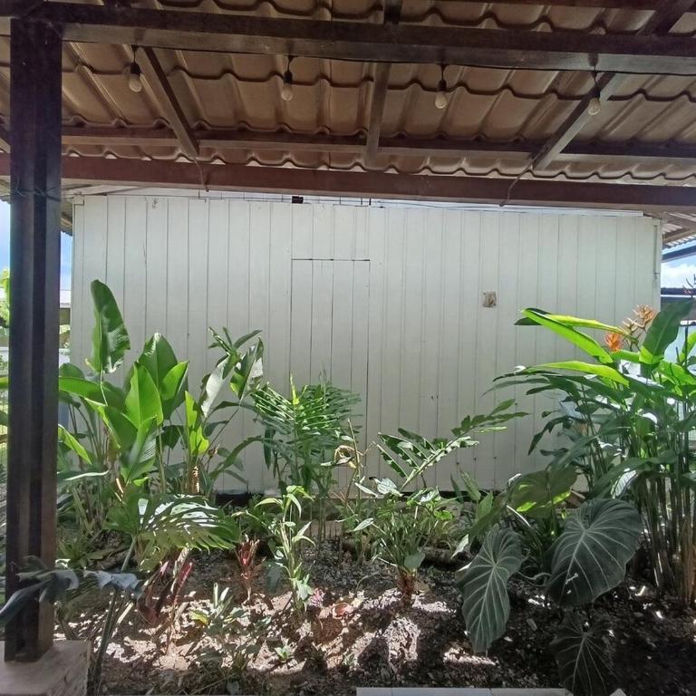 Downtown cabin for families in Macas - Casa de 2 dormitorios - 12