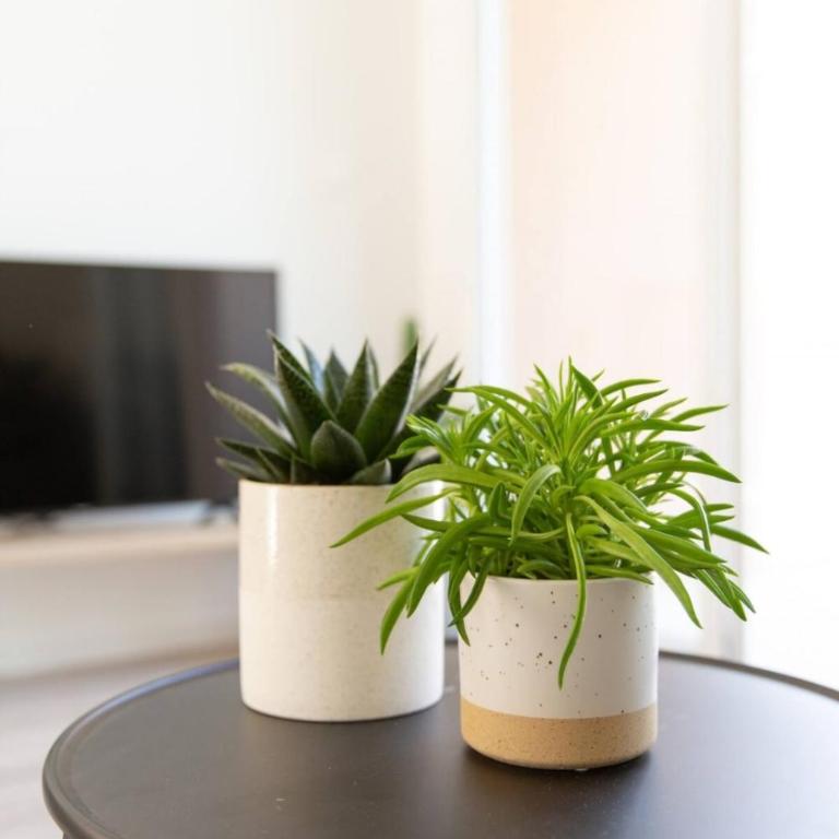 Appartement Les Verdiers dans résidence calme à Andernos - Apartment - 13