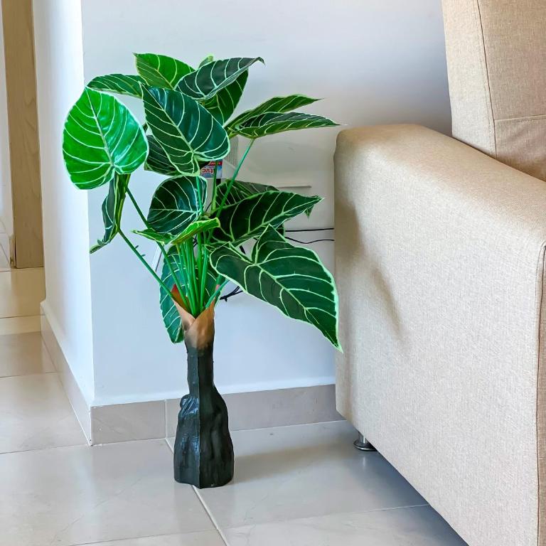Olas Caribe 401 - Apartamento de 3 dormitorios - 36