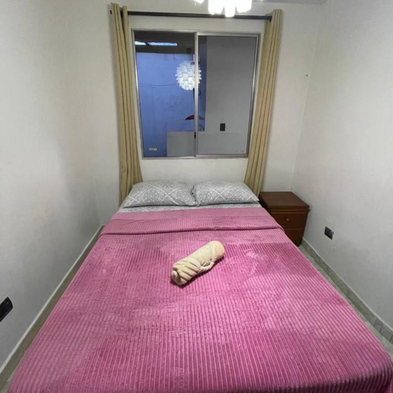 Lindo apartamento con gran patio - Room #1518327801 - 1