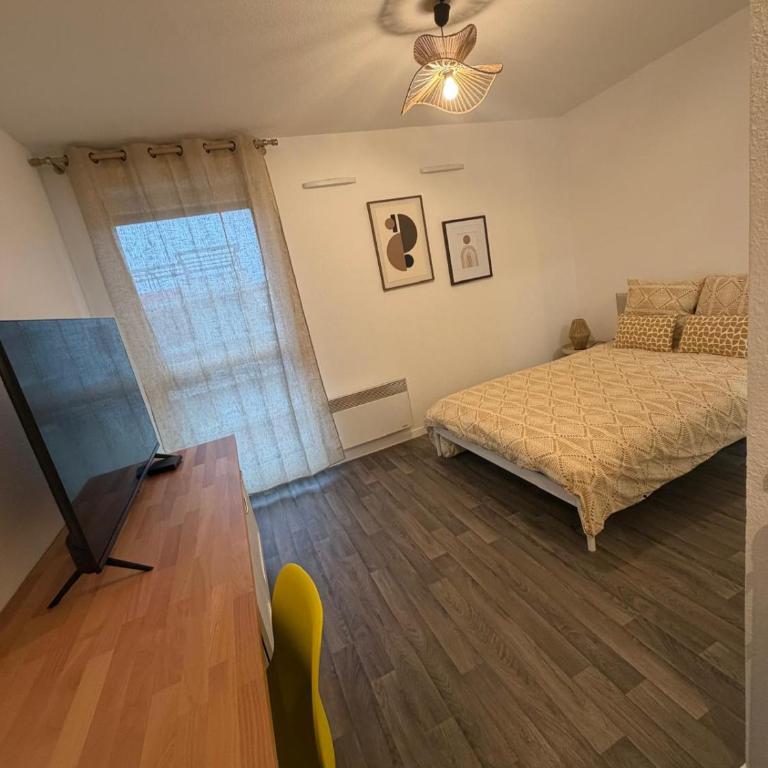 Cocon lumineux - Appartamento con 1 Camera da Letto - 1