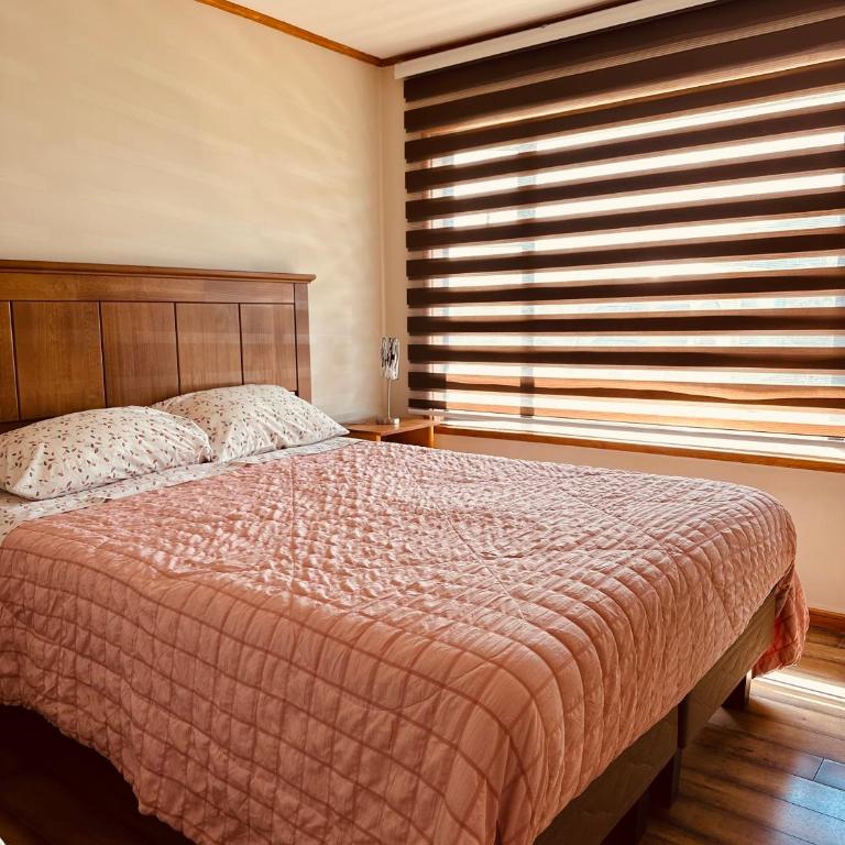 Casa - Three-Bedroom House - 8