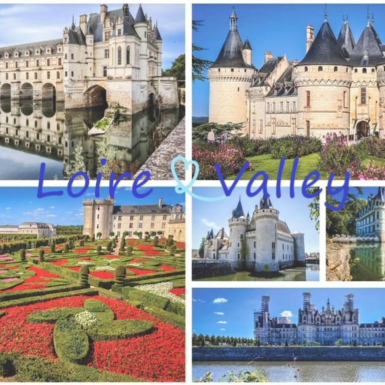 La Douceur Tourangelle - Apartment mit 1 Schlafzimmer - 3